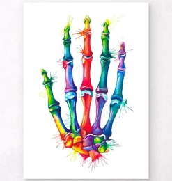 Codex Anatomicus Skull & Skeleton | Hands & Legs^Hand anatomy - Watercolor splash