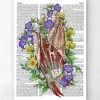 Codex Anatomicus Hands & Legs^Hand anatomy art - Dictionary page