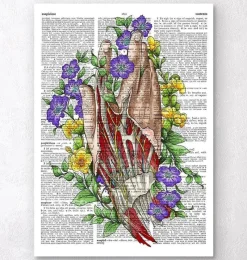 Codex Anatomicus Hands & Legs^Hand anatomy art - Dictionary page