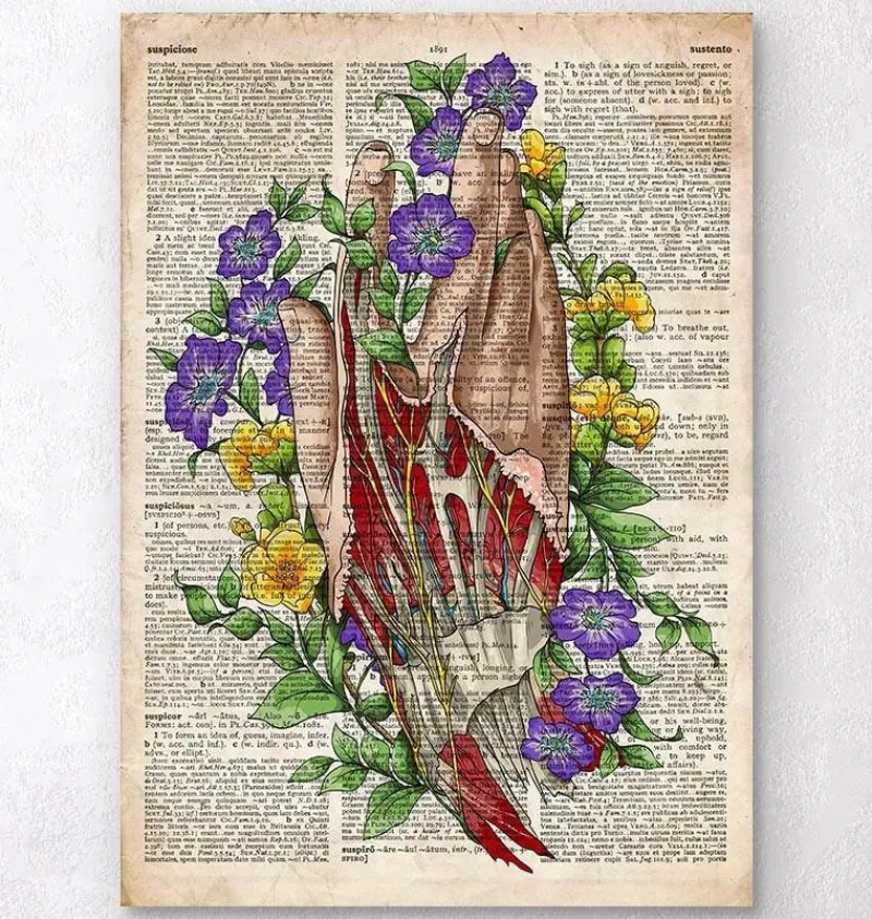 Codex Anatomicus Hands & Legs^Hand anatomy art - Old dictionary page