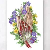 Codex Anatomicus Hands & Legs^Hand anatomy art - White