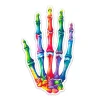 Codex Anatomicus Stickers^Hand anatomy sticker - Watercolor Splash