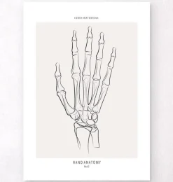 Codex Anatomicus Skull & Skeleton | Hands & Legs^Hand skeleton - Line Art