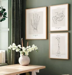 Codex Anatomicus Skull & Skeleton | Hands & Legs^Hand skeleton - Line Art