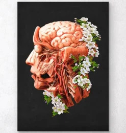 Codex Anatomicus Head & Face | Brain Anatomy^Head, Brain and Arteries anatomy - Floral - Black