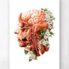 Codex Anatomicus Head & Face | Brain Anatomy^Head, Brain and Arteries anatomy - Floral - White