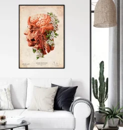 Codex Anatomicus Head & Face | Brain Anatomy^Head, Brain and Arteries anatomy - Floral - Vintage
