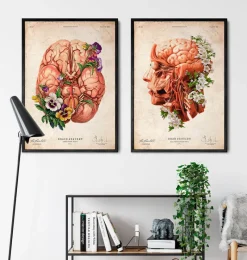 Codex Anatomicus Head & Face | Brain Anatomy^Head, Brain and Arteries anatomy - Floral - Vintage