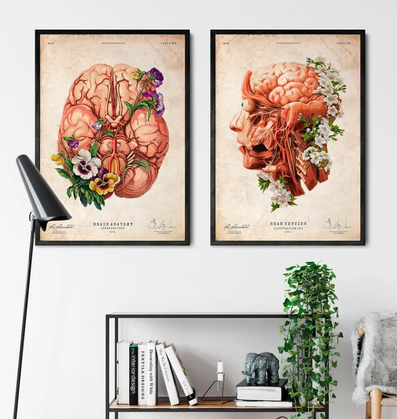 Codex Anatomicus Head & Face | Brain Anatomy^Head, Brain and Arteries anatomy - Floral - Vintage