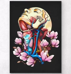 Codex Anatomicus Head & Face^Head, neck and arteries - Floral anatomy - Black