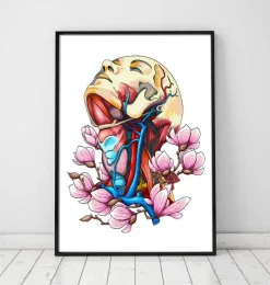 Codex Anatomicus Head & Face^Head, neck and arteries - Floral anatomy