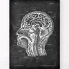 Codex Anatomicus Brain Anatomy^Head section anatomy - Chalkboard