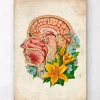 Codex Anatomicus Head & Face^Head section anatomy - Floral - Old paper