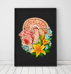 Codex Anatomicus Head & Face^Head section anatomy - Floral - Black