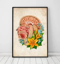 Codex Anatomicus Head & Face^Head section anatomy - Floral - Old paper
