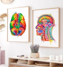 Codex Anatomicus Head & Face^Head section anatomy art - Watercolor splash