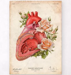 Codex Anatomicus Heart Anatomy^Heart anatomy - Floral - Vintage