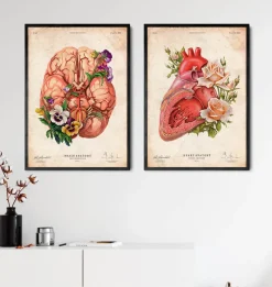 Codex Anatomicus Heart Anatomy^Heart anatomy - Floral - Vintage