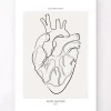 Codex Anatomicus Heart Anatomy^Heart anatomy - Line Art
