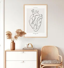 Codex Anatomicus Heart Anatomy^Heart anatomy - Line Art