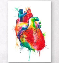 Codex Anatomicus Heart Anatomy^Heart anatomy art - Watercolor splash