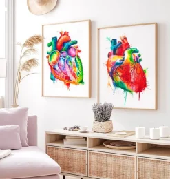 Codex Anatomicus Heart Anatomy^Heart anatomy art - Watercolor splash