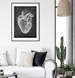Codex Anatomicus Heart Anatomy^Heart anatomy I - Chalkboard