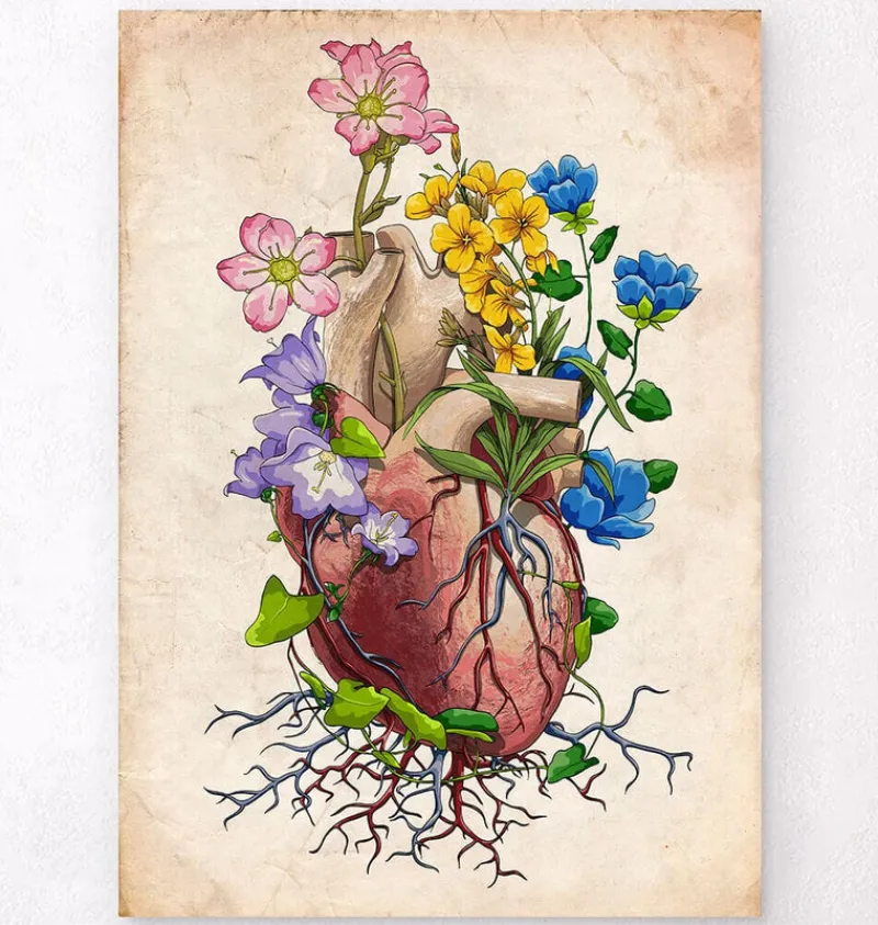 Codex Anatomicus Heart Anatomy^Heart anatomy I - Floral - Vintage