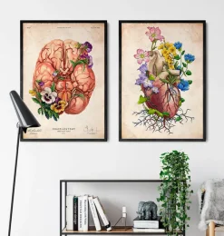 Codex Anatomicus Heart Anatomy^Heart anatomy I - Floral - Vintage