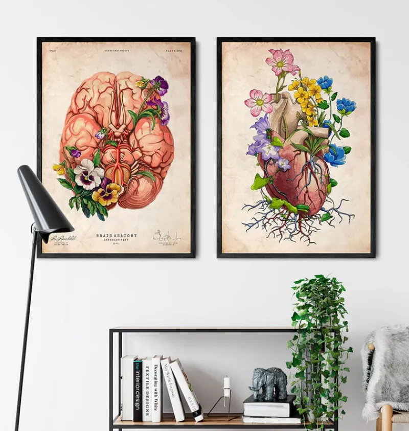 Codex Anatomicus Heart Anatomy^Heart anatomy I - Floral - Vintage