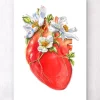 Codex Anatomicus Heart Anatomy^Heart anatomy II - Floral - White