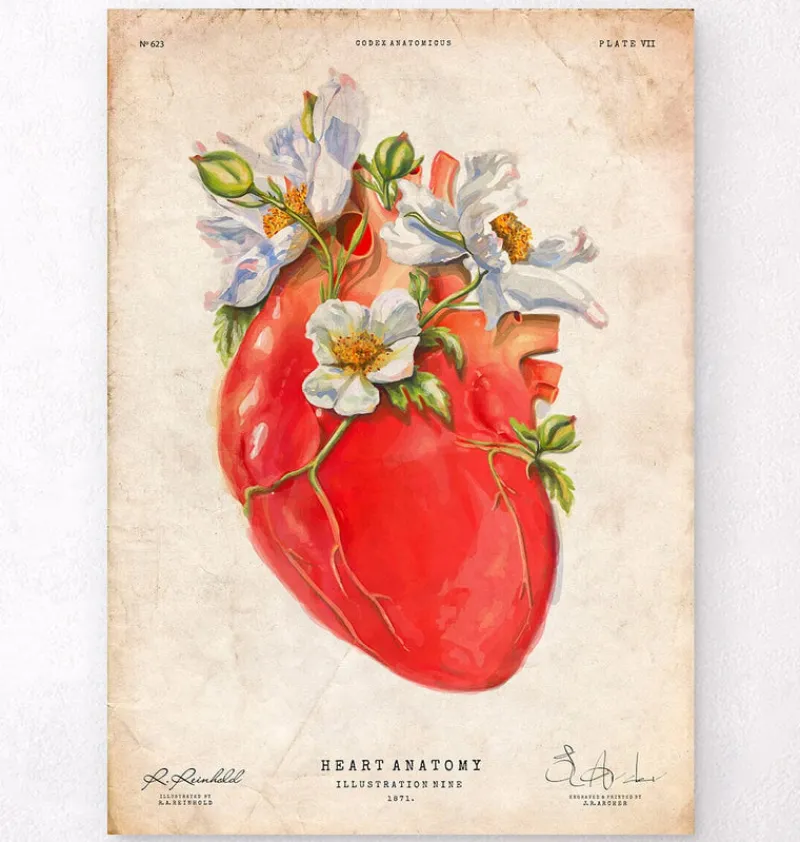 Codex Anatomicus Heart Anatomy^Heart anatomy II - Floral - Vintage