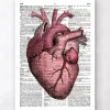Codex Anatomicus Heart Anatomy^Heart anatomy III - Dictionary page