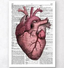 Codex Anatomicus Heart Anatomy^Heart anatomy III - Dictionary page