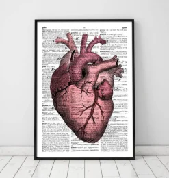 Codex Anatomicus Heart Anatomy^Heart anatomy III - Dictionary page