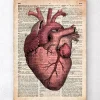 Codex Anatomicus Heart Anatomy^Heart anatomy III - Old dictionary page
