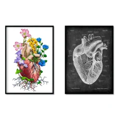 Codex Anatomicus Heart Anatomy^Heart Anatomy Mix - Set of 5