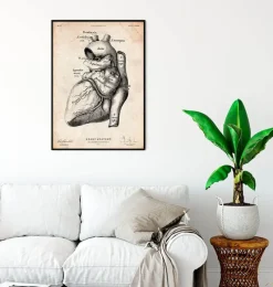 Codex Anatomicus Heart Anatomy^Heart anatomy poster