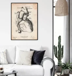 Codex Anatomicus Heart Anatomy^Heart anatomy poster II