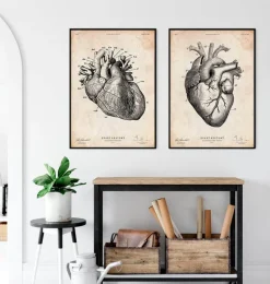 Codex Anatomicus Heart Anatomy^Heart anatomy print IV