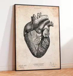 Codex Anatomicus Heart Anatomy^Heart anatomy print VII