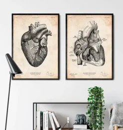 Codex Anatomicus Heart Anatomy^Heart anatomy print VII