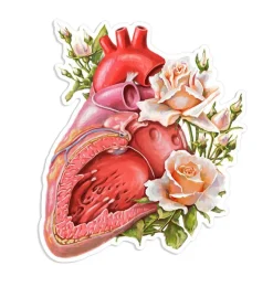 Codex Anatomicus Stickers^Heart anatomy sticker - Floral