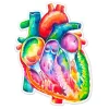 Codex Anatomicus Stickers^Heart anatomy sticker - Watercolor Splash