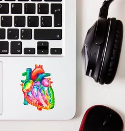 Codex Anatomicus Stickers^Heart anatomy sticker - Watercolor Splash