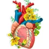Codex Anatomicus Stickers^Heart anatomy sticker II - Floral