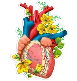 Codex Anatomicus Stickers^Heart anatomy sticker II - Floral