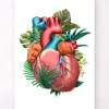 Codex Anatomicus Heart Anatomy^Heart anatomy V - Floral - White