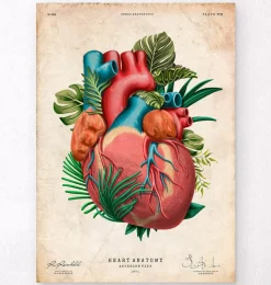 Codex Anatomicus Heart Anatomy^Heart anatomy V - Floral - Vintage