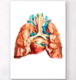 Codex Anatomicus Lungs Anatomy | Heart Anatomy^Heart and lungs anatomy